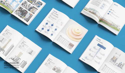 吉林硅寶科技公司企業(yè)宣傳冊(cè)設(shè)計(jì)案例解析——北邦設(shè)計(jì)的技術(shù)推廣服務(wù)實(shí)踐